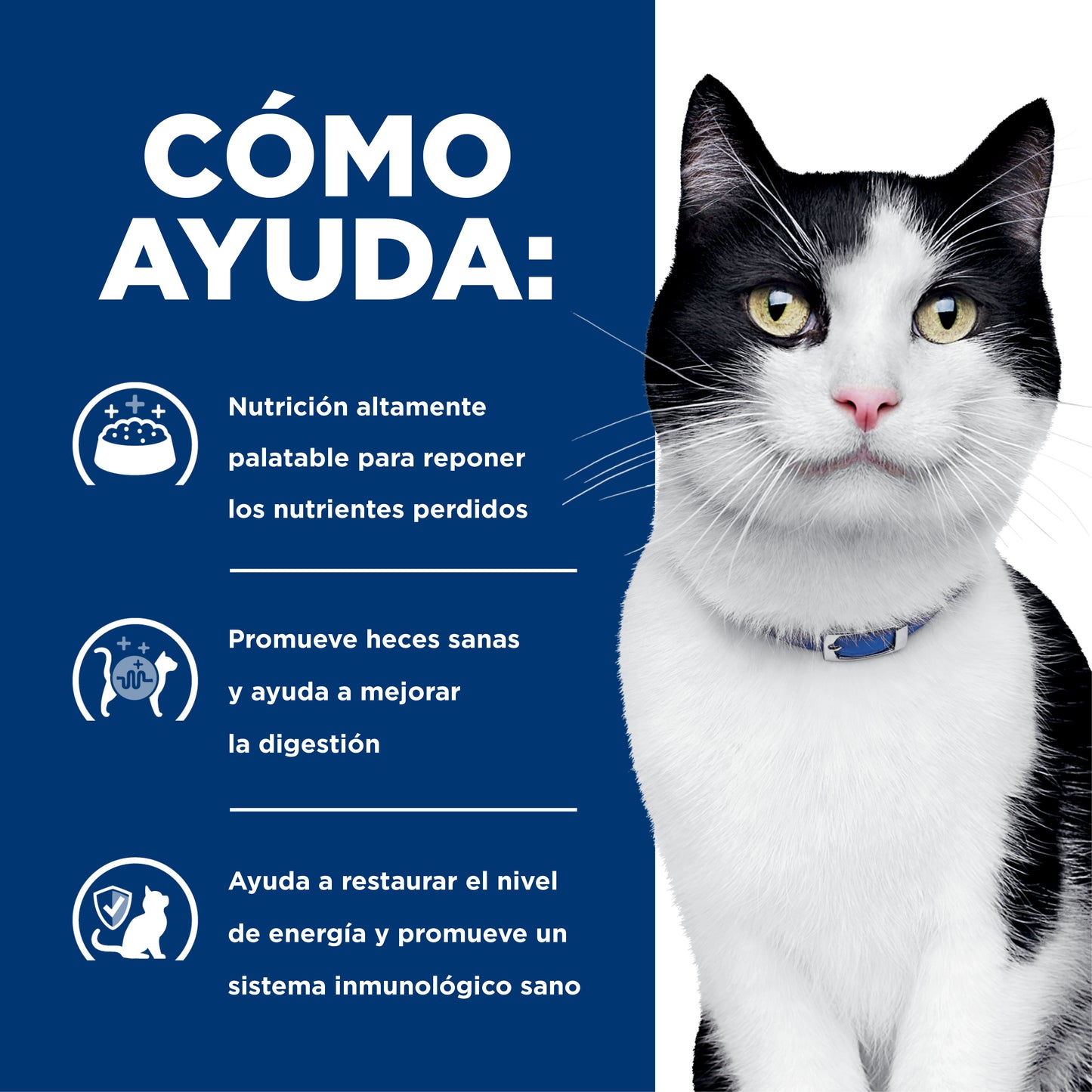 Hill's Prescription Diet i/d alimento para gato Cuidado Digestivo 1.8 kg
