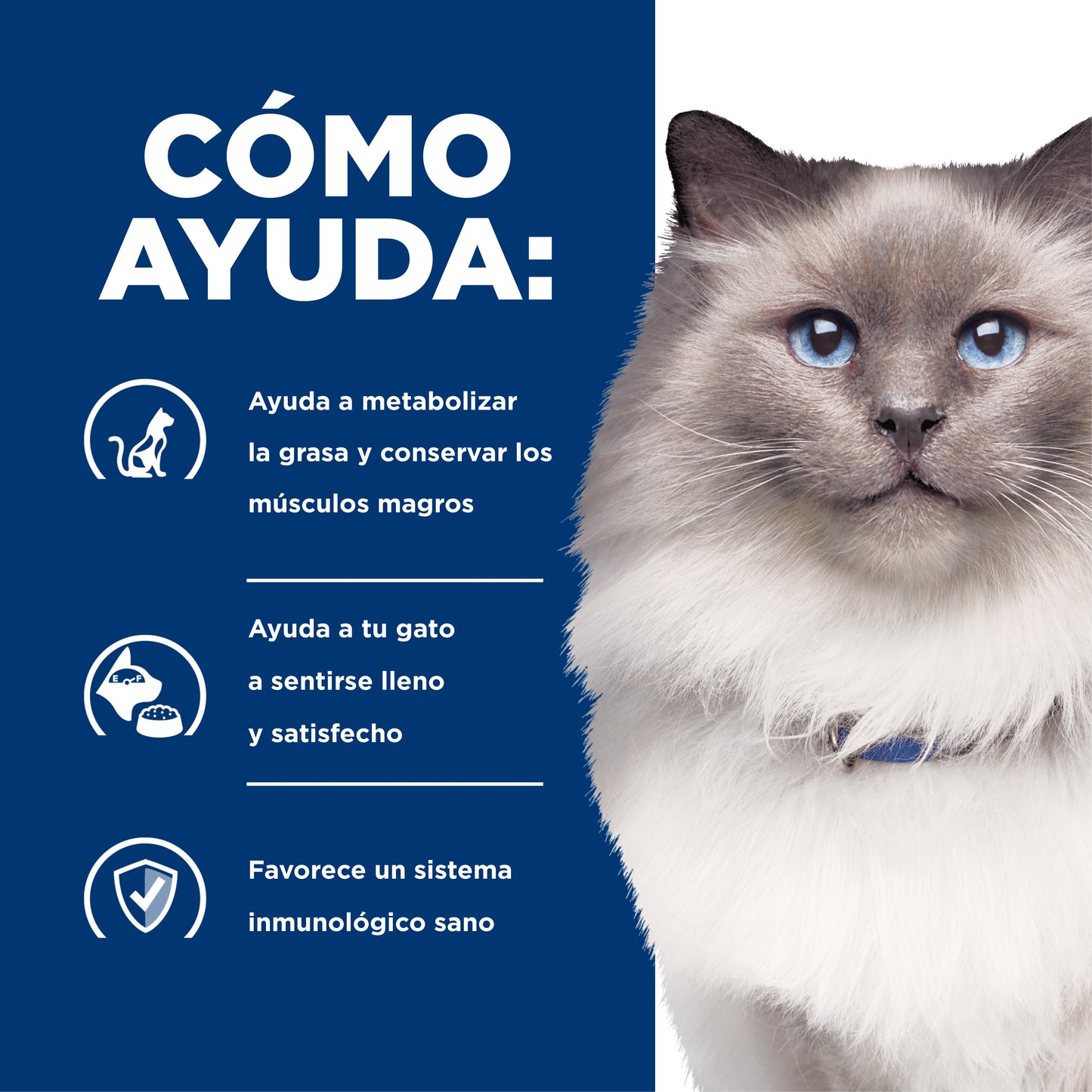 Hill's Prescription Diet r/d alimento para Gato pérdida de peso 1.8 Kg