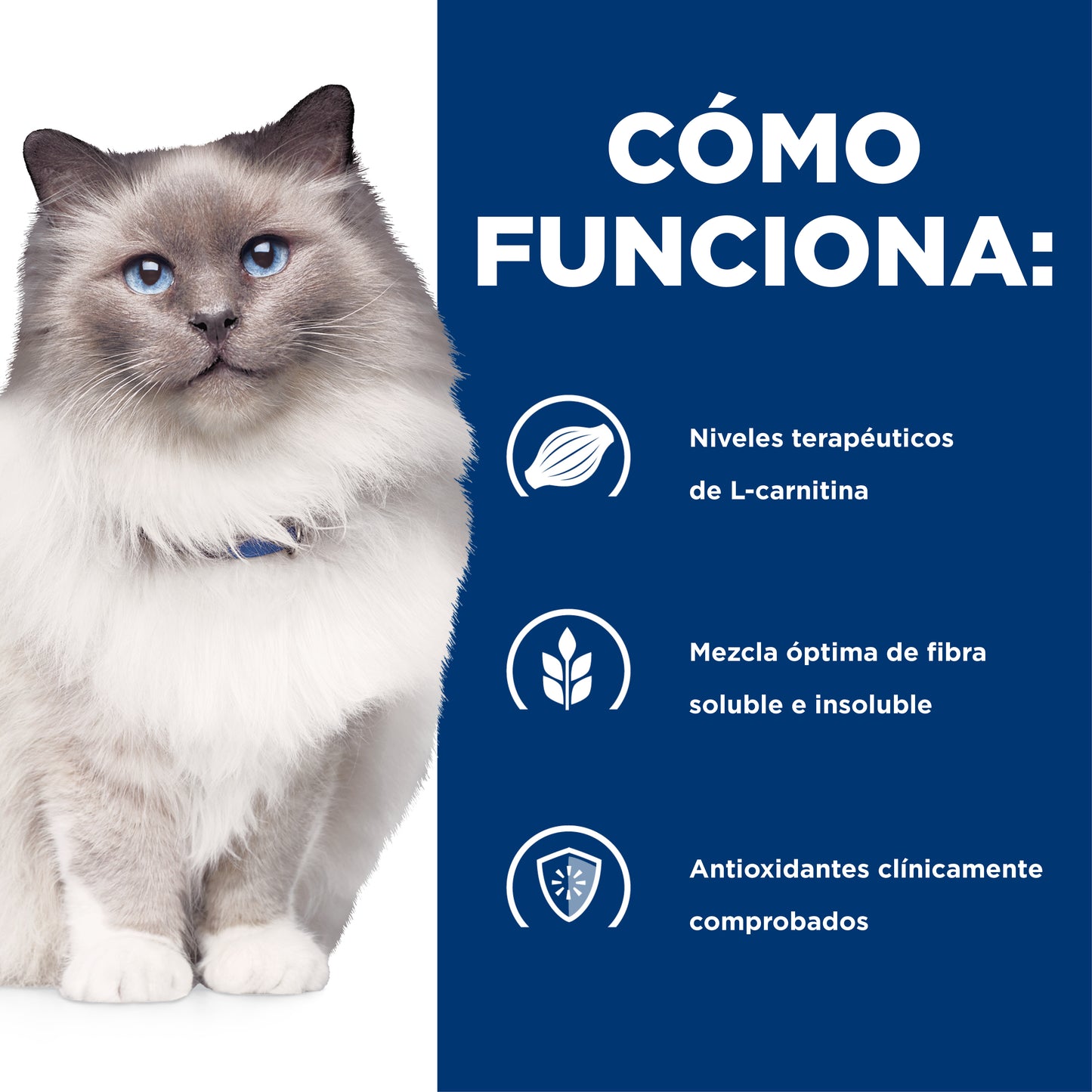 Hill's Prescription Diet r/d alimento para Gato pérdida de peso 1.8 Kg