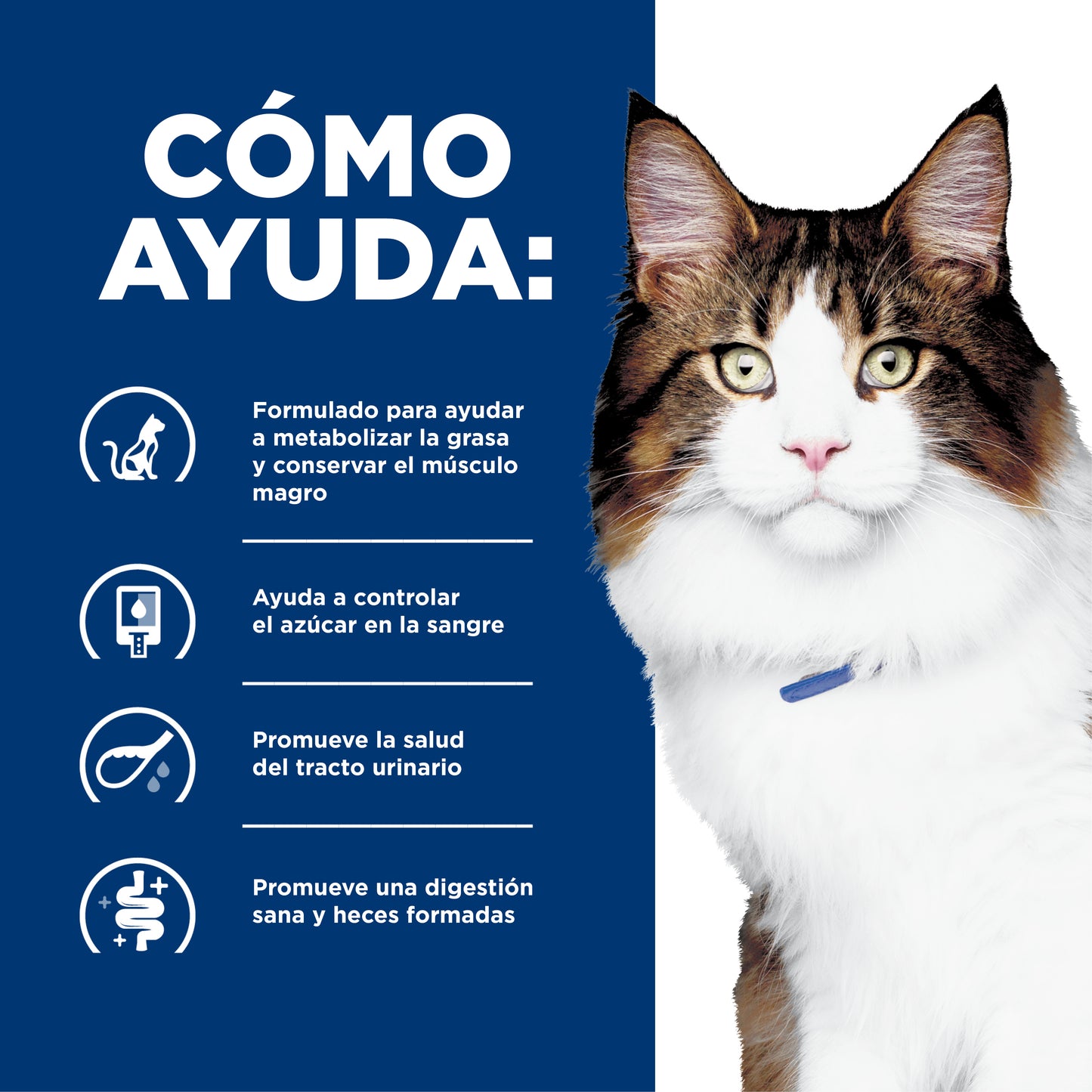 Hill's w/d alimento para gato manejo de peso/glucosa 1.8 Kg