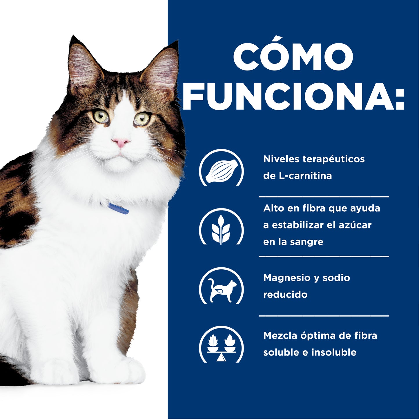 Hill's w/d alimento para gato manejo de peso/glucosa 1.8 Kg