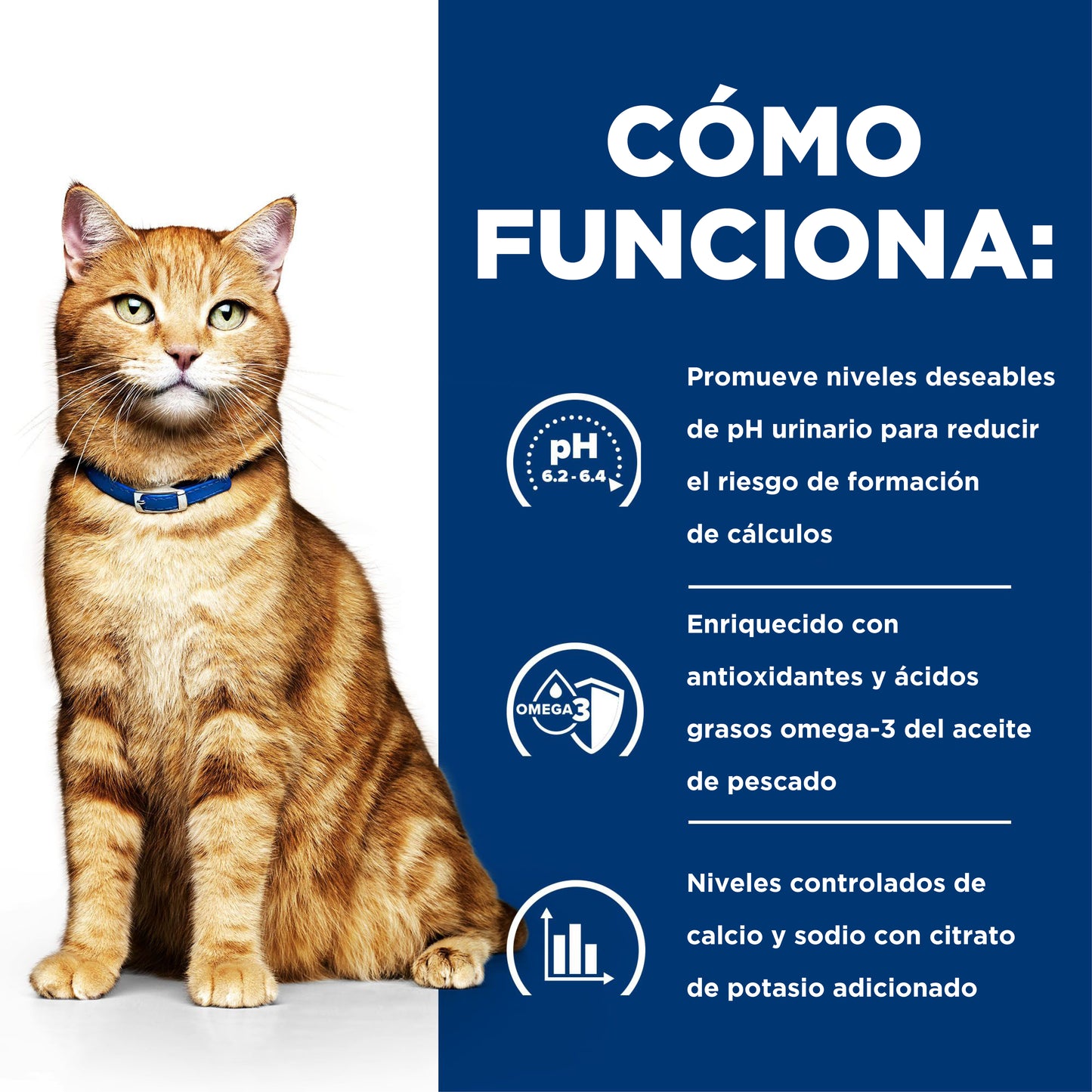 Hill's Prescription c/d Cuidado Urinario alimento húmedo para gato sabor pescado 156 gr
