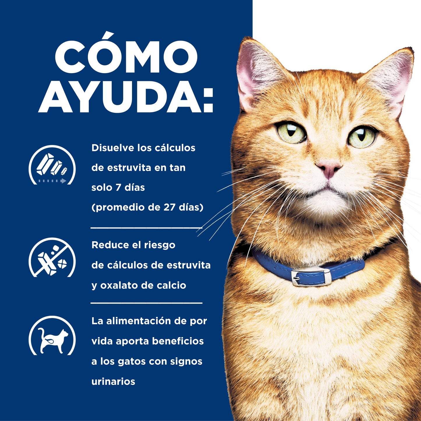 Hill's Prescription c/d Cuidado Urinario alimento húmedo para gato sabor pescado 156 gr
