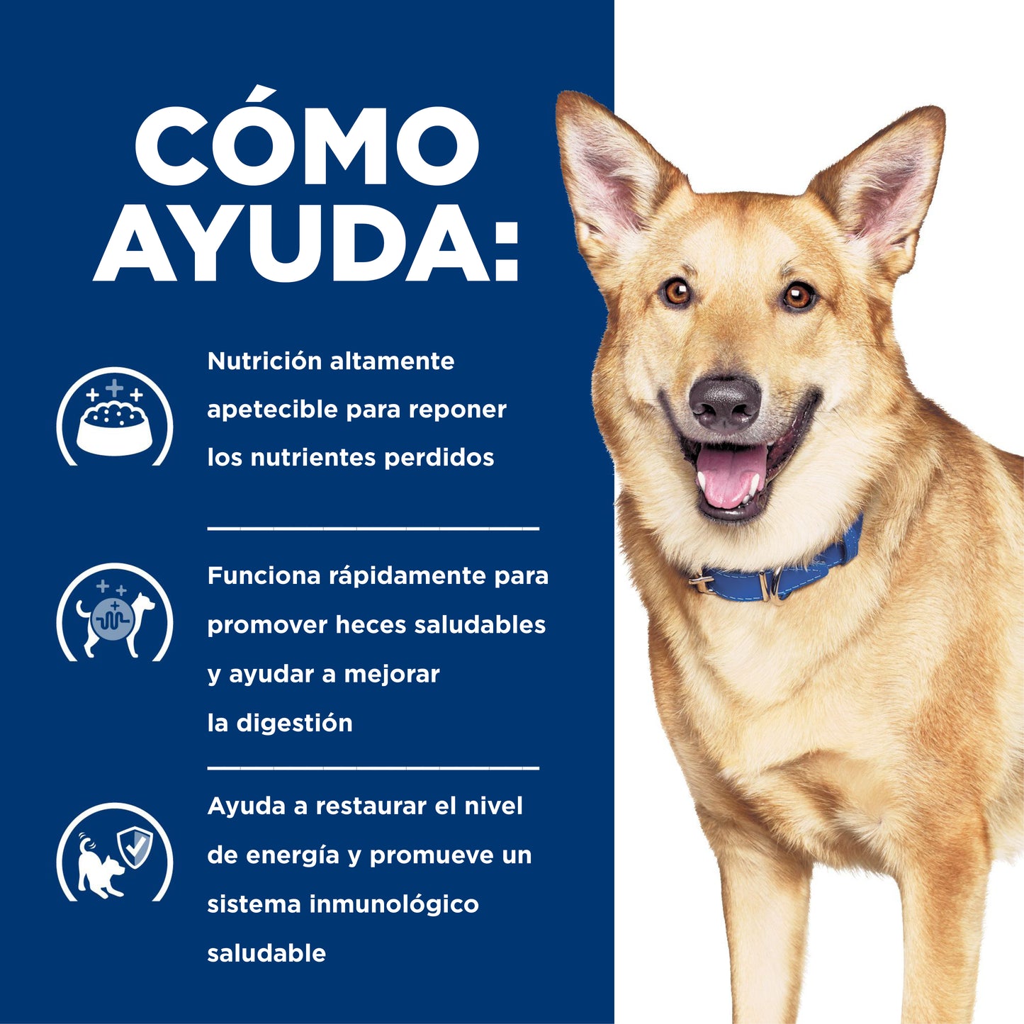 Hill's i/d Alimento húmedo para perro Cuidado Digestivo  13 OZ
