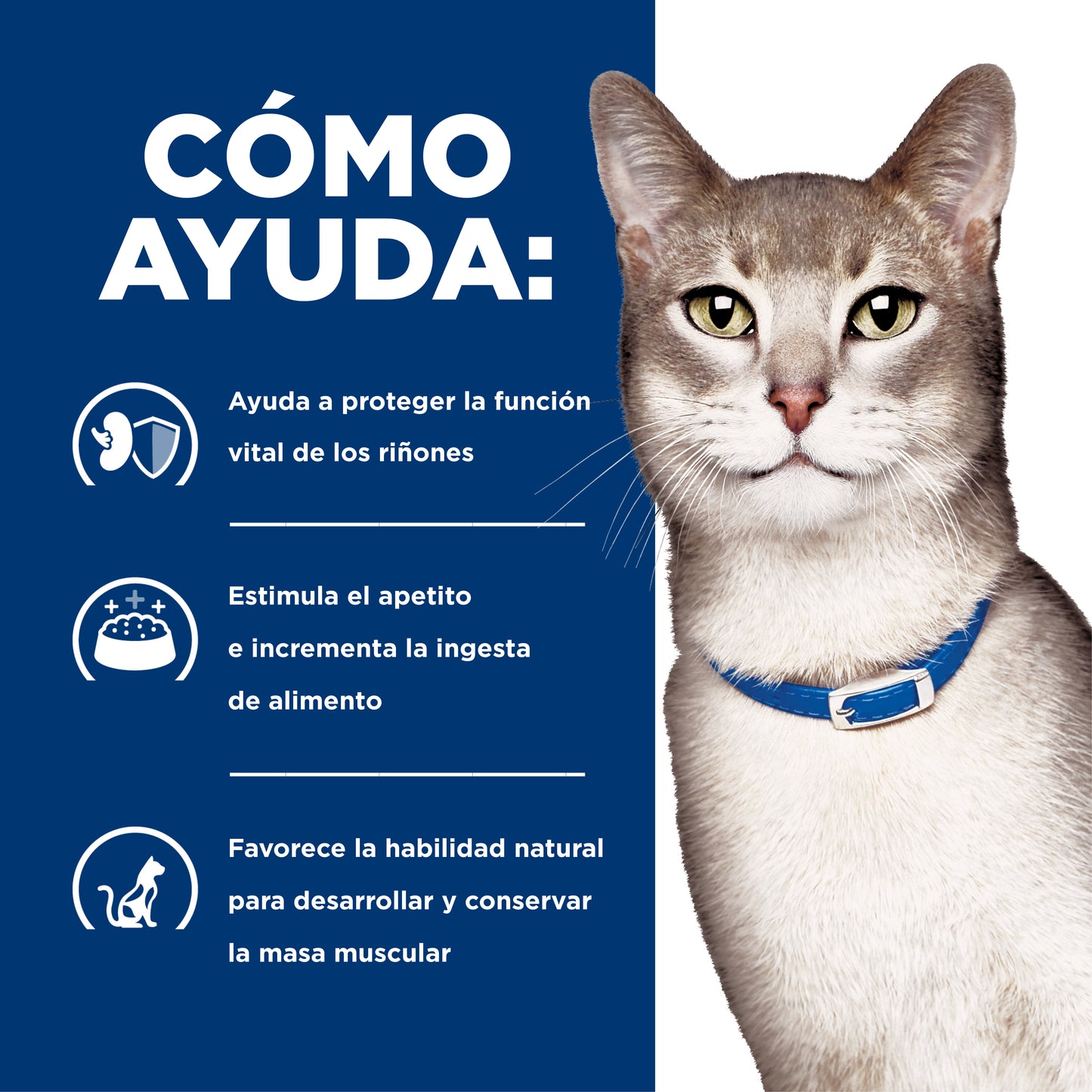 Hill's Prescription Diet k/d alimento para gato cuidado renal 1.8 Kg