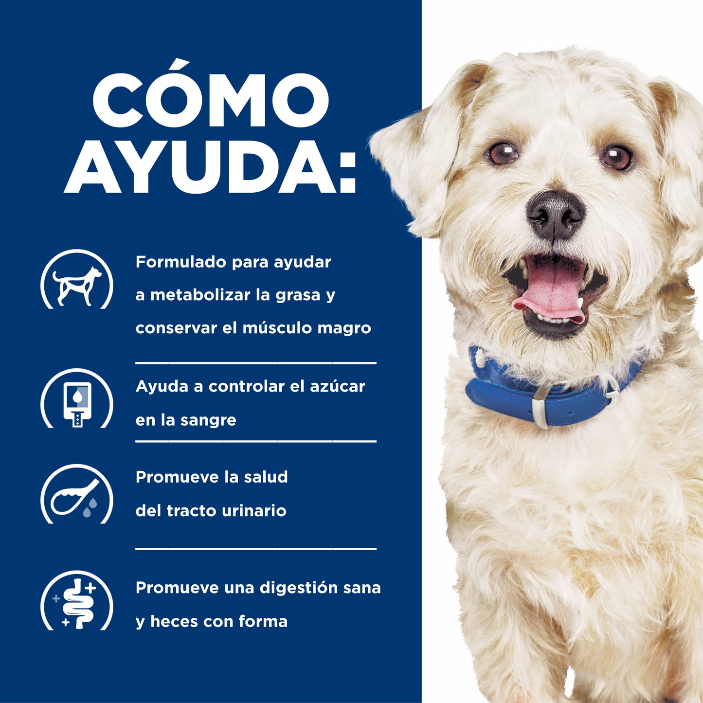 Hill's w/d alimento para perro manejo de peso/glucosa
