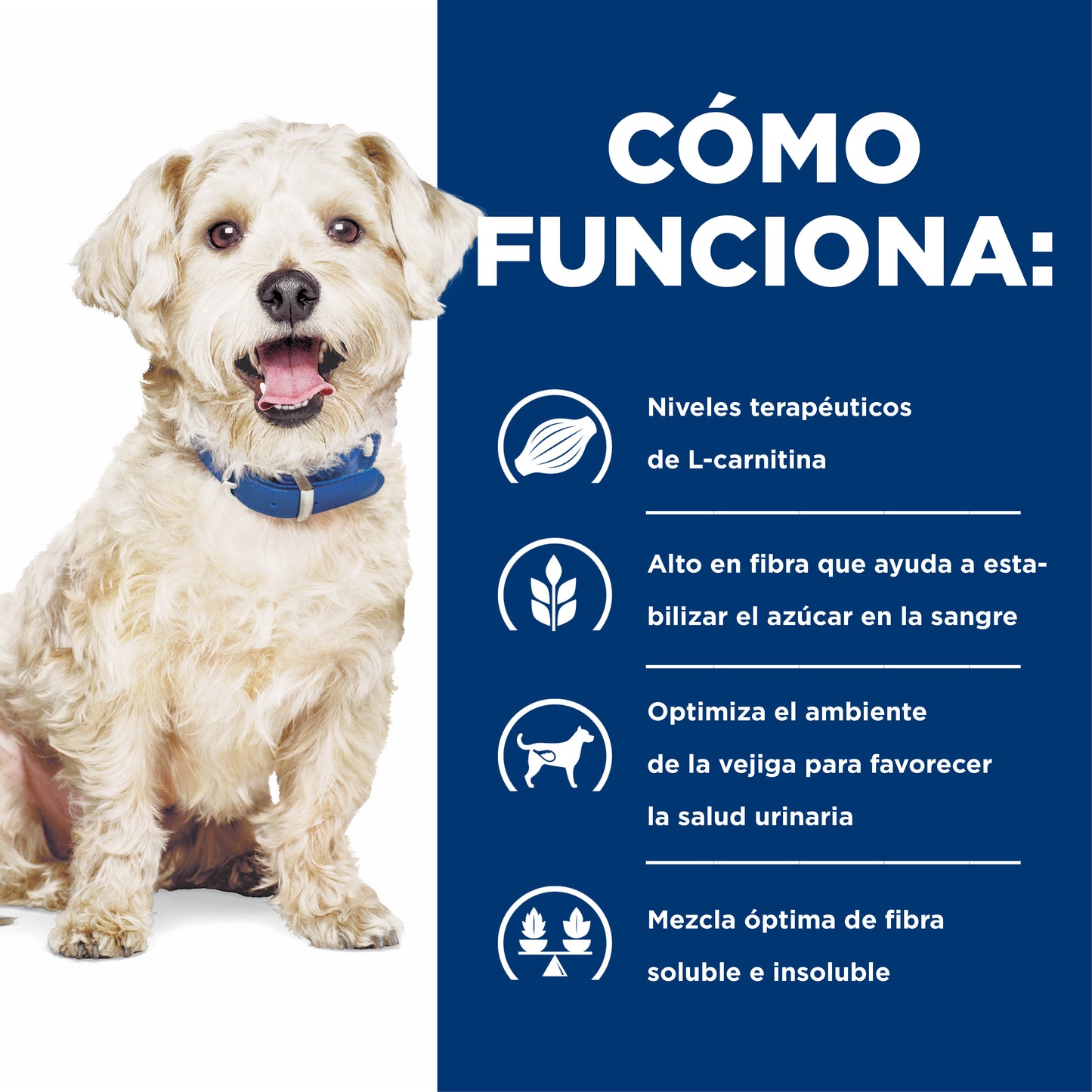 Hill's w/d alimento para perro manejo de peso/glucosa