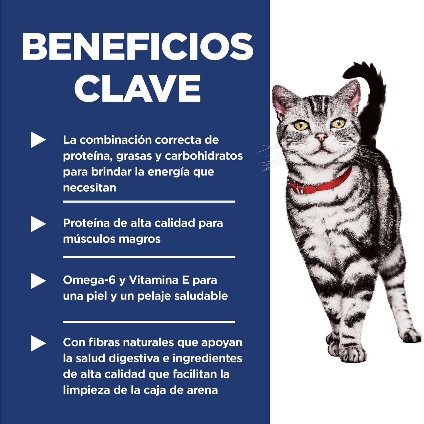 Hill's Science Diet Indoor alimento para gato adulto