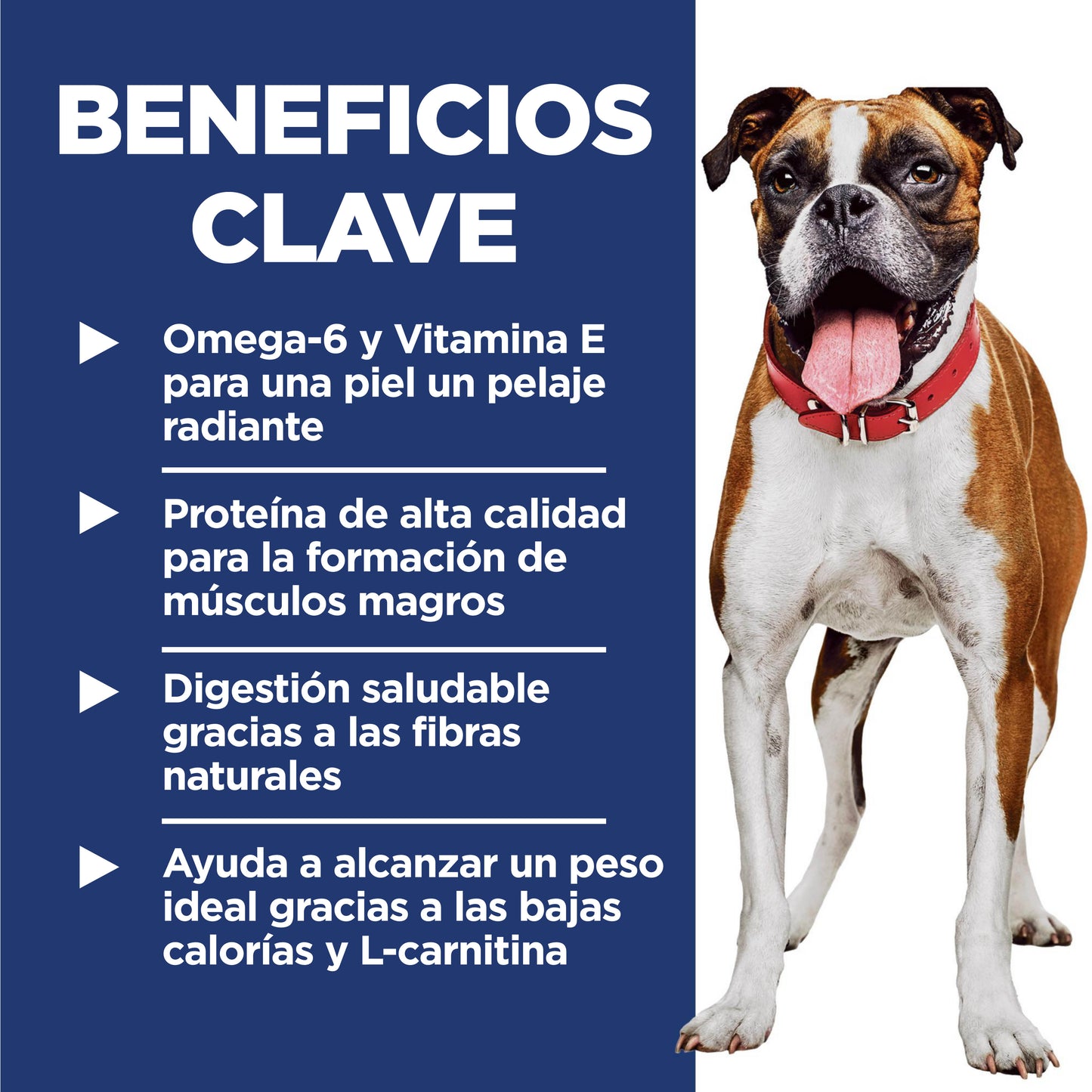 Hill's Science Diet bocados pequeños Light  alimento para perro adulto