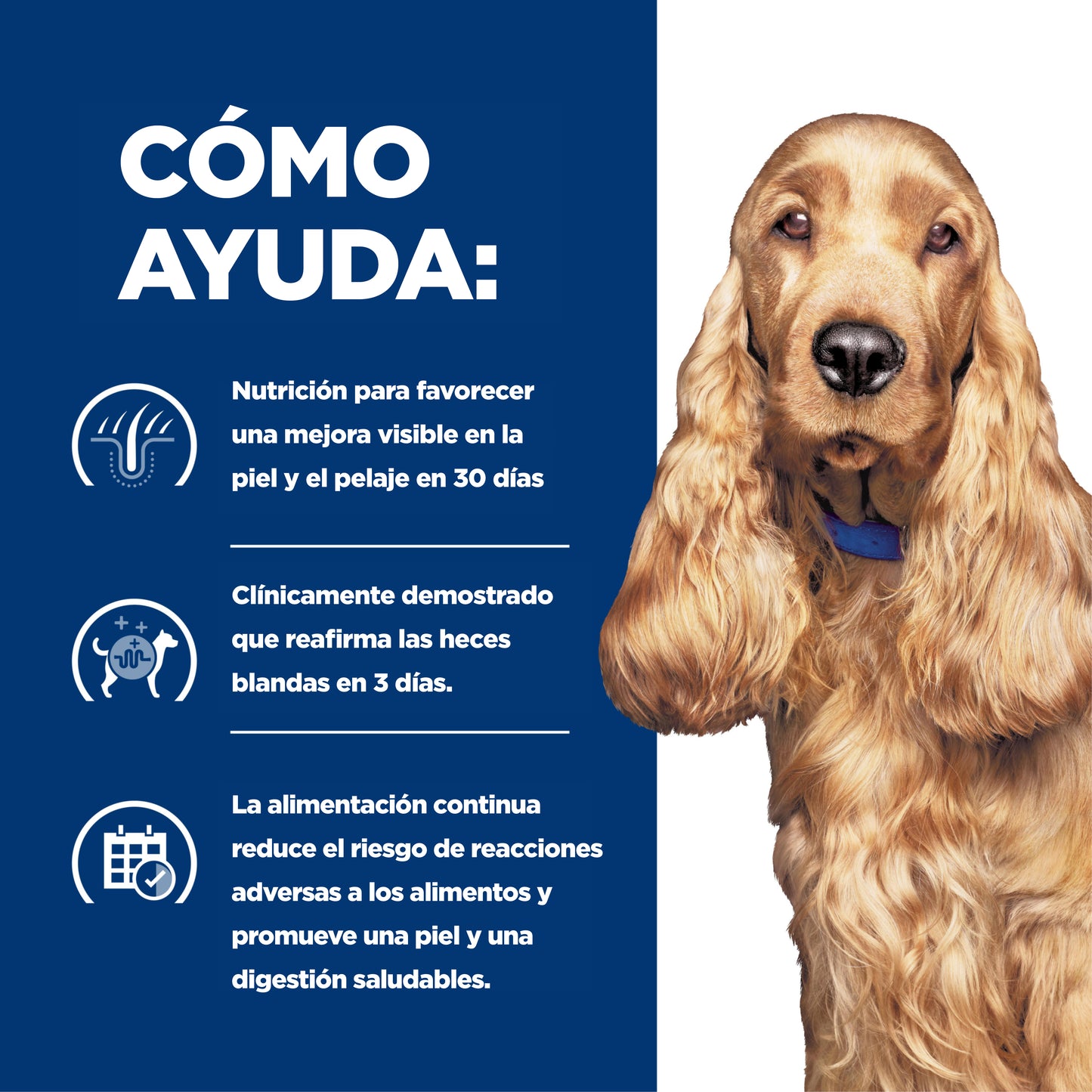Hill's z/d Alimento húmedo para perro sensibilidades alimentarias 13oz