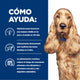 Hill's z/d Alimento húmedo para perro sensibilidades alimentarias 13oz