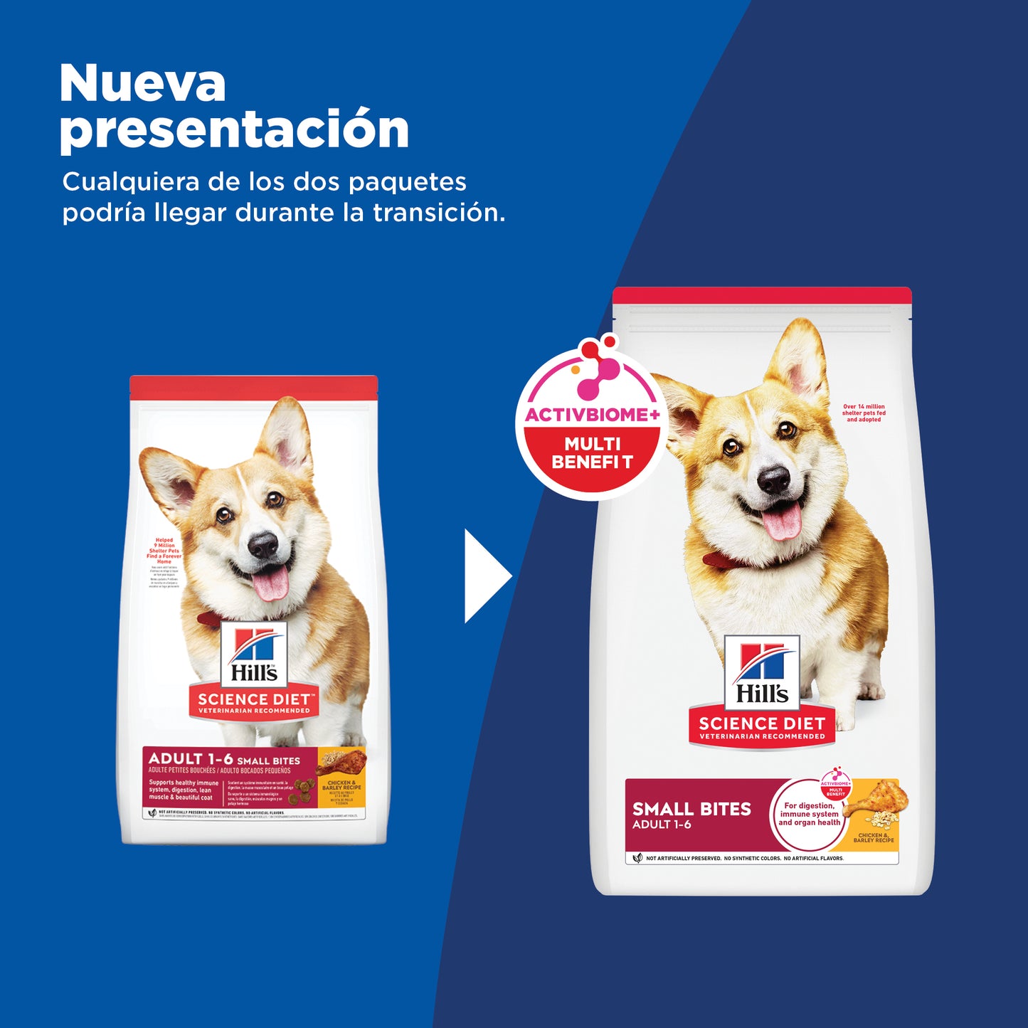 Hill's Science Diet Small Bites alimento perro adulto bocados pequeños