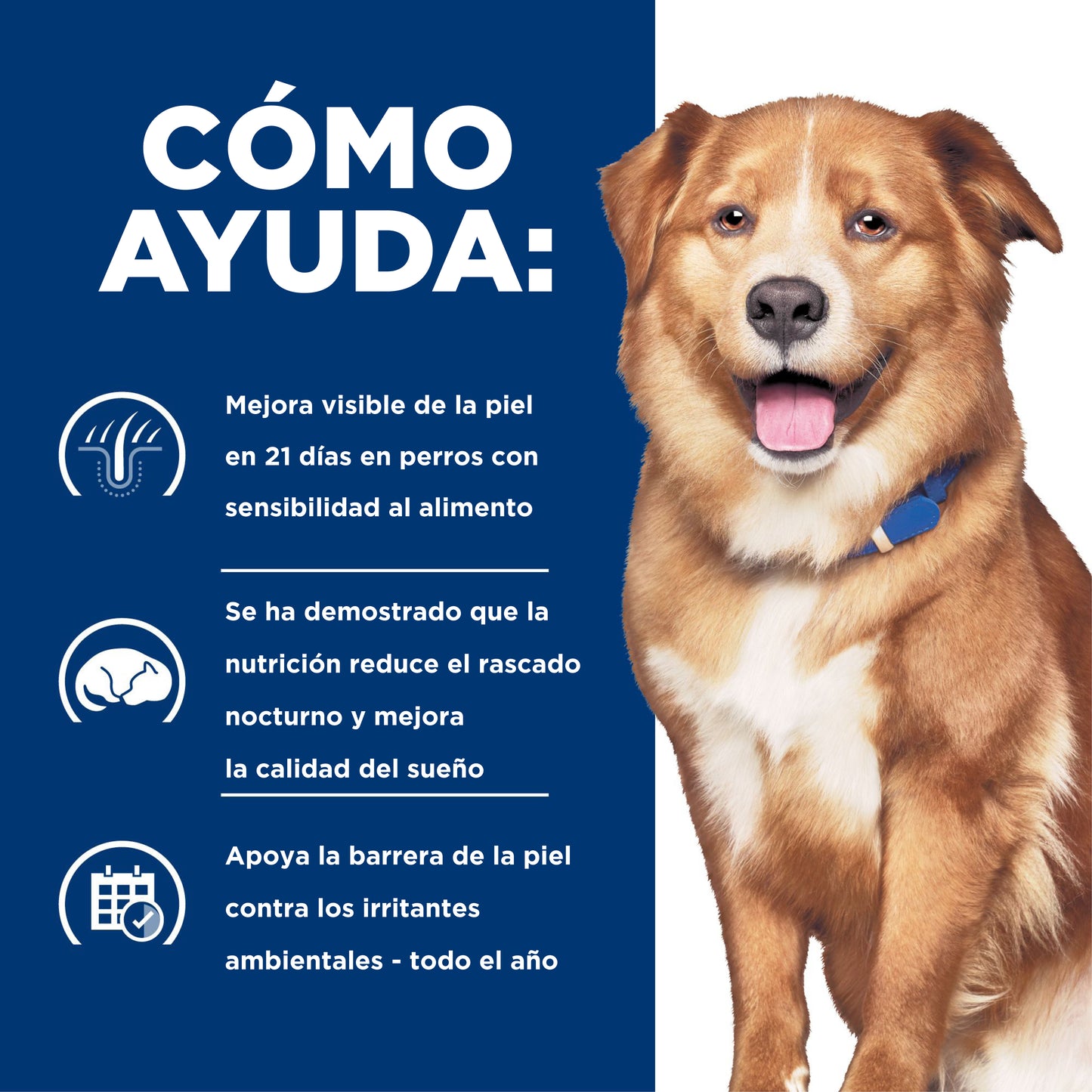 Hill's alimento para perro Alergias Alimentarias y Ambientales