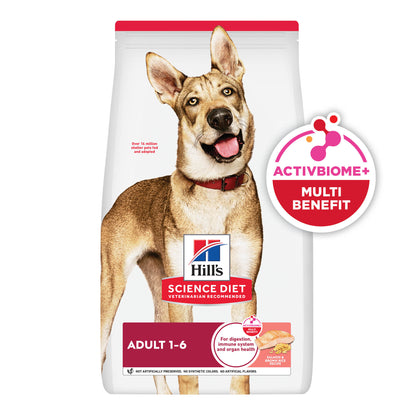 Hill's Science Diet Adult, alimento saludable perro adulto receta de salmón