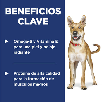 Hill's Science Diet Adult, alimento saludable perro adulto receta de salmón