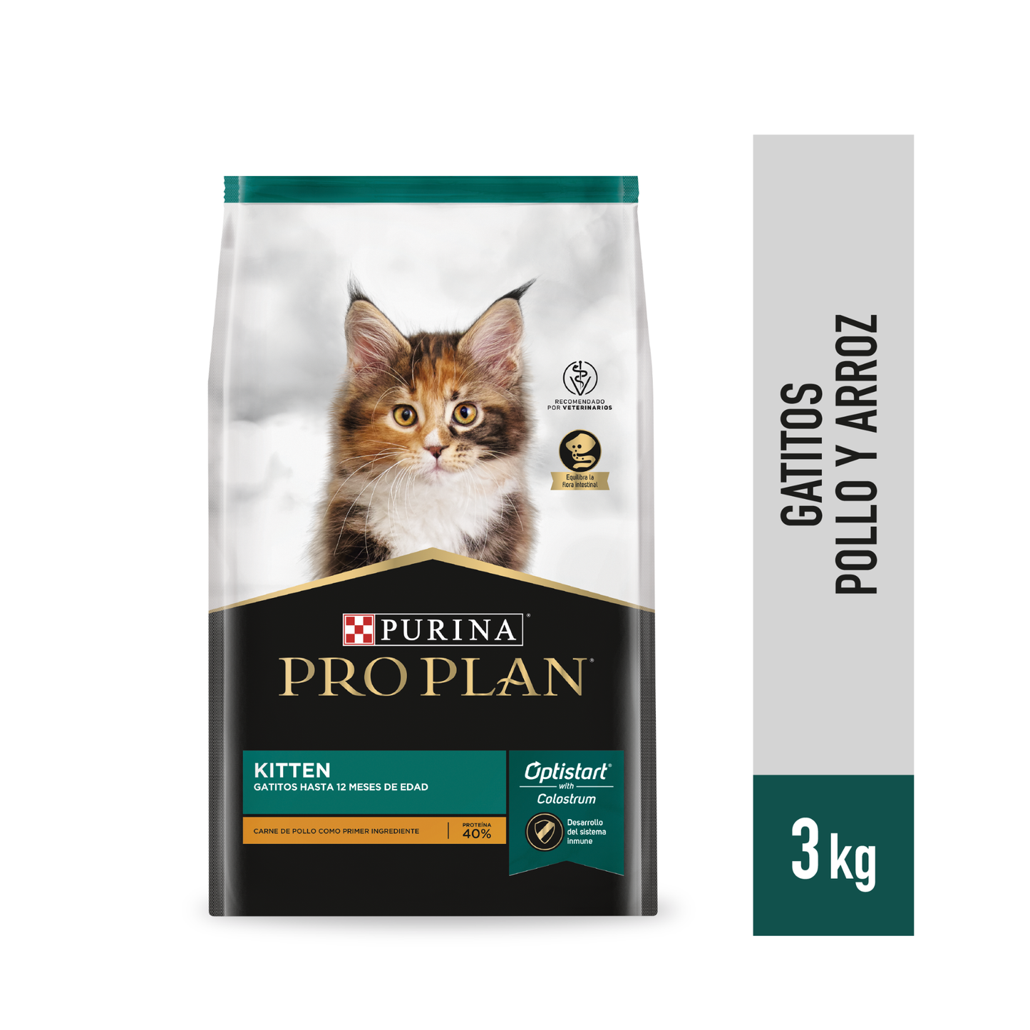 Kitten - Gatitos