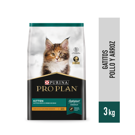 Kitten - Gatitos
