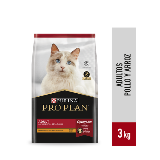 Adult Cat