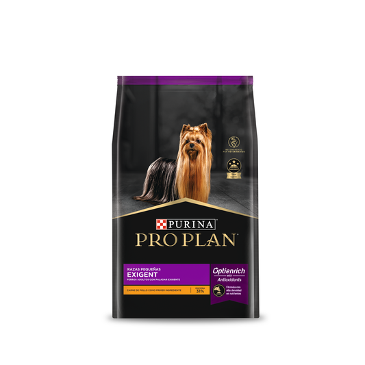 Exigent Small Breed