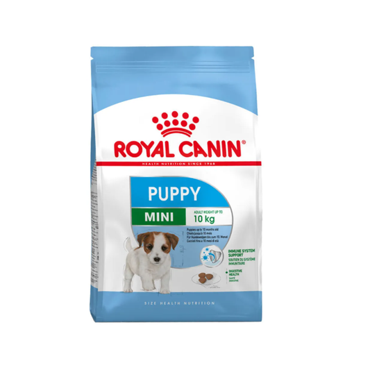 S.H.N Mini Puppy