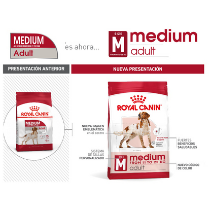 S.H.N Medium Adult
