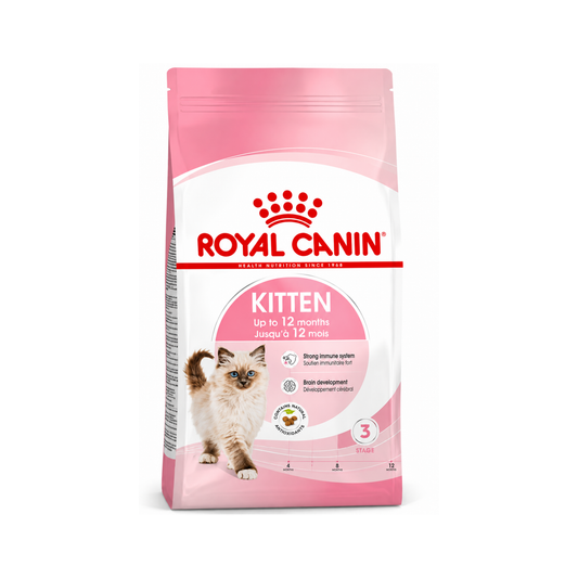 F.H.N Kitten