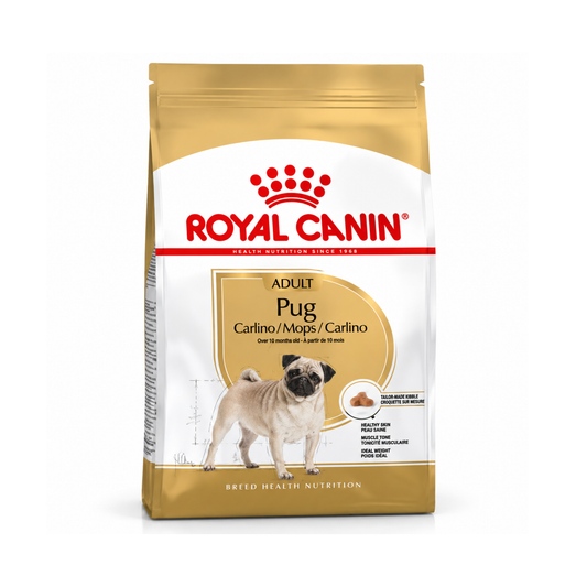 B.H.N Pug Adult 3 Kg