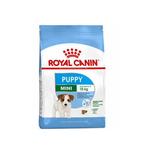 S.H.N Mini Puppy