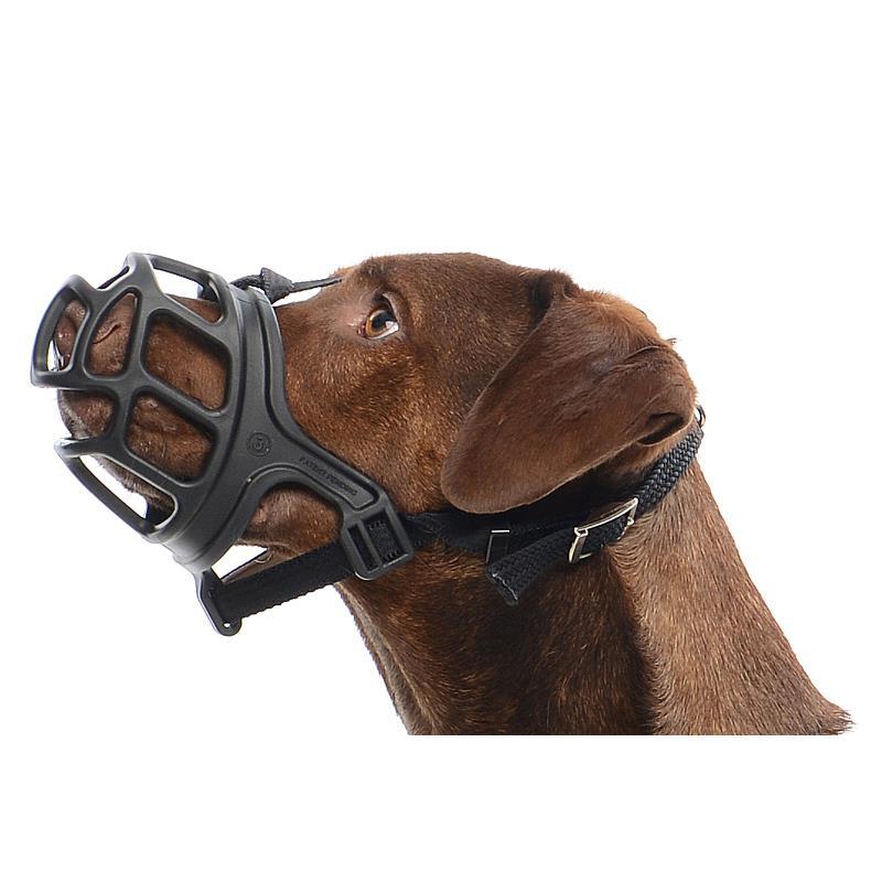 Bozales para perros