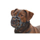 Bozales para perros