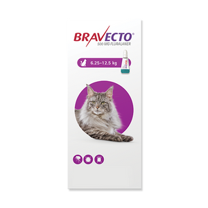 Antipulgas para gato