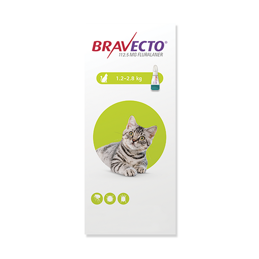 Antipulgas para gato