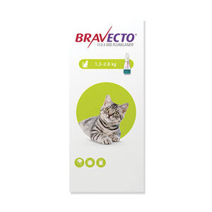 Antipulgas para gato