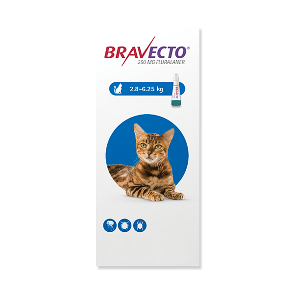 Antipulgas para gato