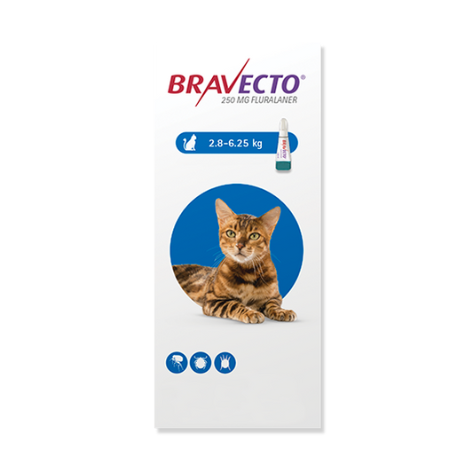Antipulgas para gato