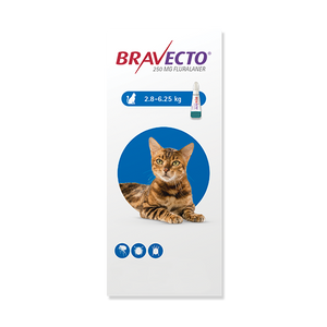 Antipulgas para gato