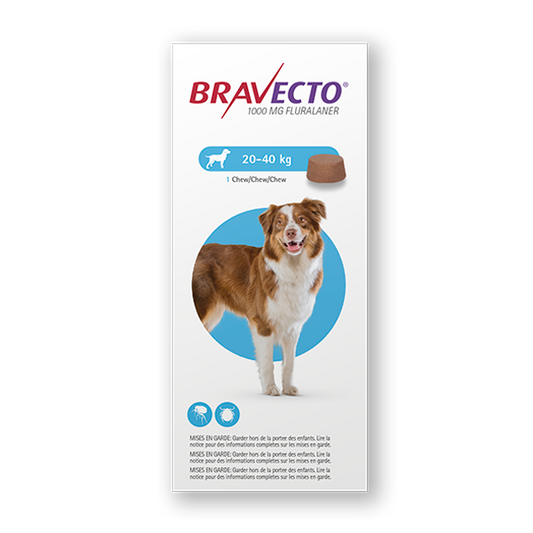 Antipulgas para perro