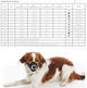 Bozal Nylon para Perro S