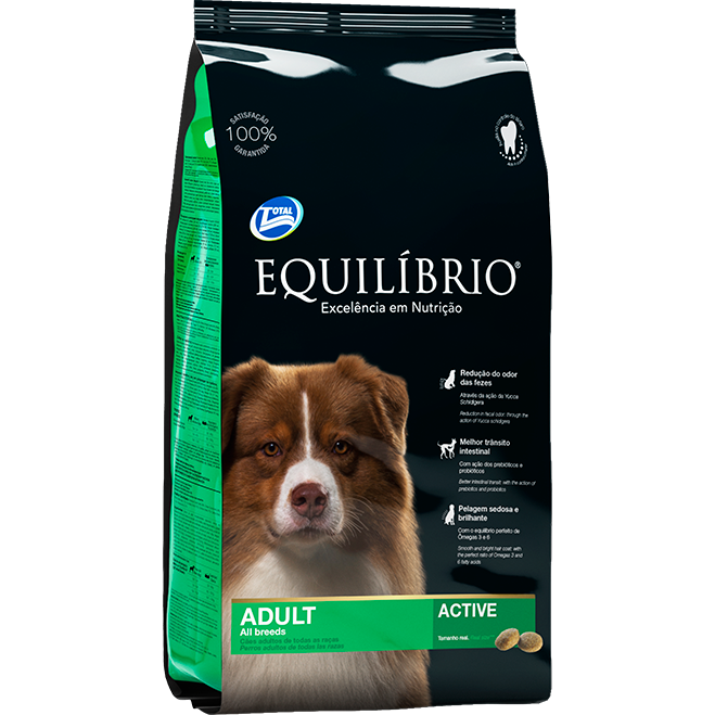 Adult Dogs all Breeds