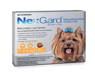 Antipulgas para perro