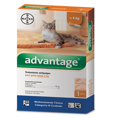 Antipulgas para gato