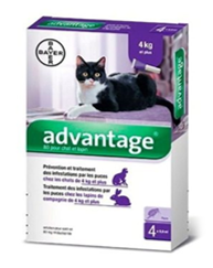 Antipulgas para gato