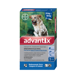 Antipulgas para perro