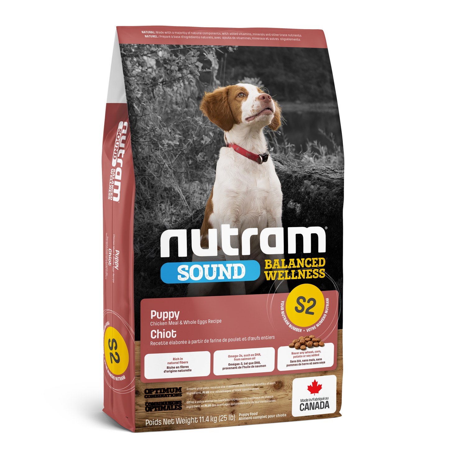 Alimento seco para perros