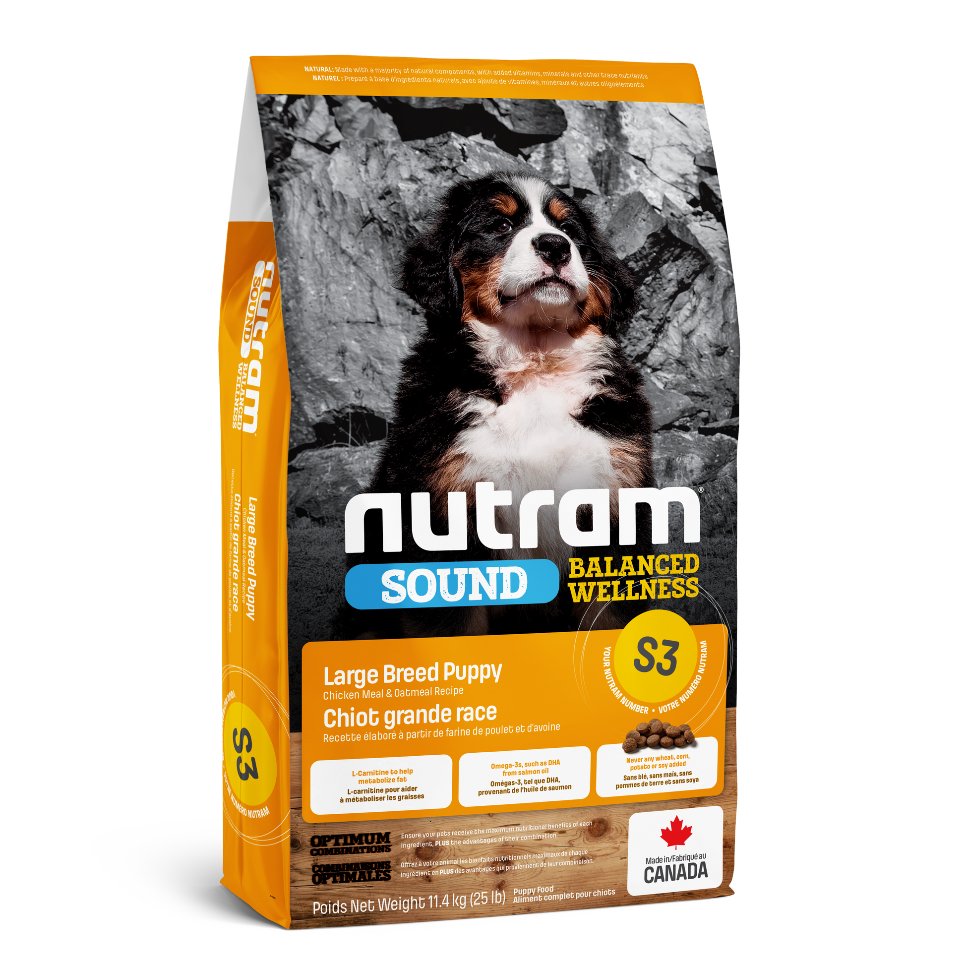 Alimento seco para perros