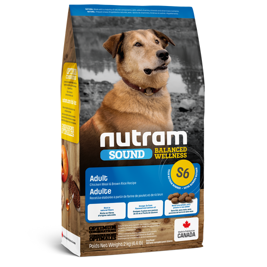 Alimento seco para perros