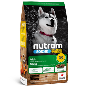 Alimento seco para perros
