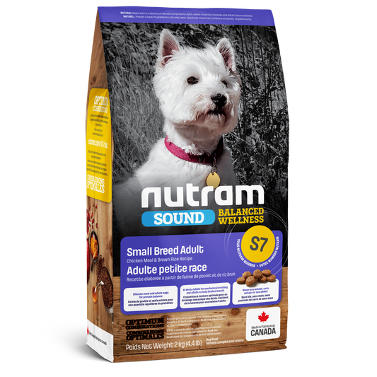 Alimento seco para perros