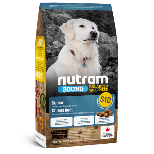 Alimento seco para perros