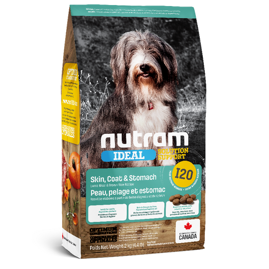 Alimento seco para perros